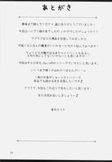 (COMIC1☆4) [Ryuknigthia (Kiduki Erika)] Daily RO 2 (Ragnarok Online)-(COMIC1☆4) [リュナイティア (季月えりか)] Daily RO 2 (ラグナロクオンライン)