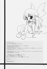 (SC46) [Ryuknigthia (Kiduki Erika)] Daily RO (Ragnarok Online)-(サンクリ46) [リュナイティア (季月えりか)] Daily RO (ラグナロクオンライン)