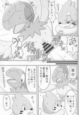 (Shinshun Kemoket 2) [Suzume-no-namida (Iro Suzume)] Dou Desu Ka? Kimochii Desu Ka? (Pokémon Super Mystery Dungeon)-(新春けもケット2) [すずめのナミダ (ぃろすずめ)] どうですか◯◯ 気持ちいですか? (ポケモン超不思議のダンジョン)