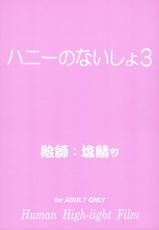 (SC33) [Human High-Light Film (Shiosaba)] Honey no Naisho 3 (Cutey Honey)-(サンクリ33) [ヒューマン・ハイライト・フィルム (塩鯖ッ)] ハニーのないしょ3 (キューティーハニー)