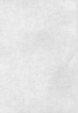 (C71) [SHIMEKIRI SANPUNMAE (Tukimi Daifuku)] Ryoujoku Choukyou Asuka (Neon Genesis Evangelion) [French] [Zer0]-(C71) [〆切り3分前 (月見大福)] 陵辱調教アスカ (新世紀エヴァンゲリオン) [フランス翻訳]