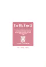 [STUDIO HIMAWARI] The Big Fate 3 (Fate/stay night)-