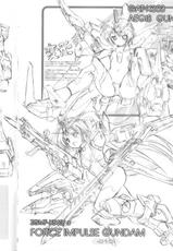[Passing Rim (CO2A)] Metal Shot Try 3 (Kidou Senshi Gundam SEED DESTINY)-