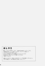 (C71) [water wheel (Shirota Dai)] Radical Comet (The Melancholy of Haruhi Suzumiya, Zero no Tsukaima)-[water wheel (白田太)] Radical Comet (涼宮ハルヒの憂鬱, ゼロの使い魔)