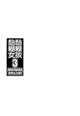 (C79) [Choujikuu Yousai Kachuusha (Denki Shougun)] MERO MERO GIRLS 3 (ONE PIECE) (CN)-(C79) (同人誌) [超時空要塞カチューシャ (電気将軍)] Mero Mero Girls 3 (ONE PIECE) [天月NTR汉化组]