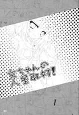 (C77) [Moe Ultimate] Bun-chan no Hitozato Shuzai! (Touhou)-