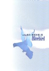 (C77) [Hapoi-dokoro] Bluebird (Neon Genesis Evangelion) - ENG-