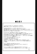 (C80) [Tiramisu Tart (Kazuhiro)] Kyouran Chijoku Sekkan (Touhou Project)-(C80) [てぃらみすたると (一弘)] 狂乱恥辱折檻 (東方)