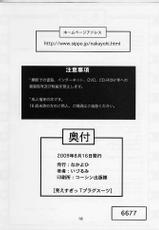 (C76)[Nakayohi(Izurumi)] Miesugi T(Test)Plugsuit (Neon Genesis Evangelion)(korean)(Bigking)-(C76)[なかよひ(いづるみ)]見えすぎT(テスト)プラグス?ツ (ヱヴァンゲリヲン新劇場版)(korean)(Bigking)