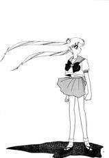 [Ariari no Nashinashi] Super Sailor Moon X (Sailor Moon)-