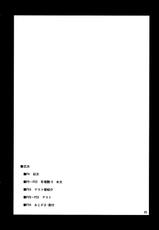 (C81) [04U (Misasagi Tasuku)] Toshimaen 0 (Touhou Project) (korean)-(C81) [04U(陵たすく)] 年増艶・0 (東方) [韓国翻訳]