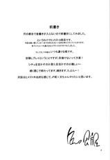 (C82) [Mochi-ya (Karochii)] Himegoto 2.5 (Touhou Project)(Chinese)-(C82) [餅屋 (かろちー)] ヒメゴト 2.5 (東方Project)(CE漢化組)