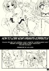 (C77) [Yappari Ao ga Suki (Uni-corn)] Tadashii Hajimete no Nakushikata | How to Lose Your Virginity Correctly (Touhou Project) [English] [A-Trans]-(C77) [やっぱり青が好き] ただしいはじめてのなくしかた (東方Project) [英訳]