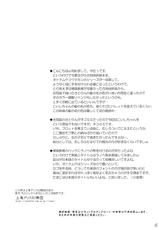 (C83) [Reverse Noise (Yamu)] Imouto ni Nekomimi nado ga Haeteshimaimashita. (Touhou Project)-(C83) [Reverse Noise (やむっ)] 妹に猫耳などが生えてしまいました。 (東方Project)