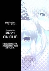 (C82) [CUNICULUS (Yositama)] Futojiko Ninshin Daisakusen!! (Touhou Project)-(C82) [CUNICULUS (ヨシタマ)] ふとじこ妊娠大作戦!! (東方Project)