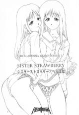 (C56) [Hellabunna (Iruma Kamiri)]  Sister Strawberry (To Heart)-(C56) [へらぶな (いるまかみり)] SISTER STRAWBERRY (トゥハート)