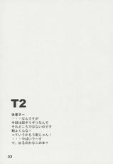 (CR33) [THE FLYERS (Naruse Mamoru)] T2 (With You ~Mitsumete Itai~)-(Cレヴォ33) [THE FLYERS (成瀬守)] T2 (With You ～みつめていたい～)