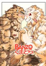 [Bear Tail (Chobikuma)] BANZO Kumatora [Digital]-[べあている (ちょびくま)] BANZOくまとら [DL版]