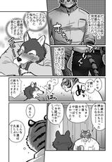 [Maririn] オオカミせんせい　トラとうさん-