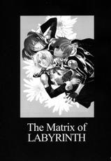 [Mao Ryoka by Hydra] The Matrix of Labirynth [LavixAllen][D.Gray-Man][yaoi]-