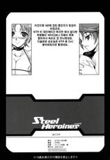 (C72) [Youkai Tamanokoshi (Chiro)] STEEL HEROINES vol.4 (Super Robot Wars) [Korean] {BIGBAE}-(C72) [ようかい玉の輿 (CHIRO)] Steel Heroines vol.4 (スーパーロボット大戦) [韓国翻訳]