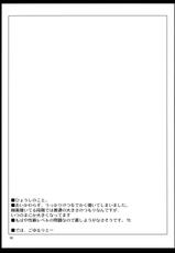 (COMIC1☆3) [04U (Misasagi Tasuku)] Taiyou no Hatake Nite (Touhou Project) [Spanish] [Ichi no Fansub]-(COMIC1☆3) [04U (陵たすく)] 太陽の畑にて (東方Project) [スペイン翻訳]