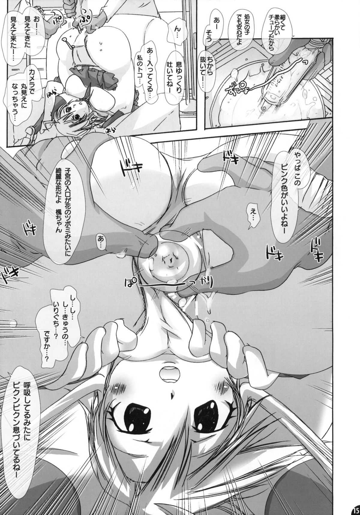 (C77) [PLECO (Chikiko)] Namagoku Nyanko (Nyan Koi!) (C77) (同人誌) [PLECO (チキコ)] 生極にゃんこ (にゃんこい！)
