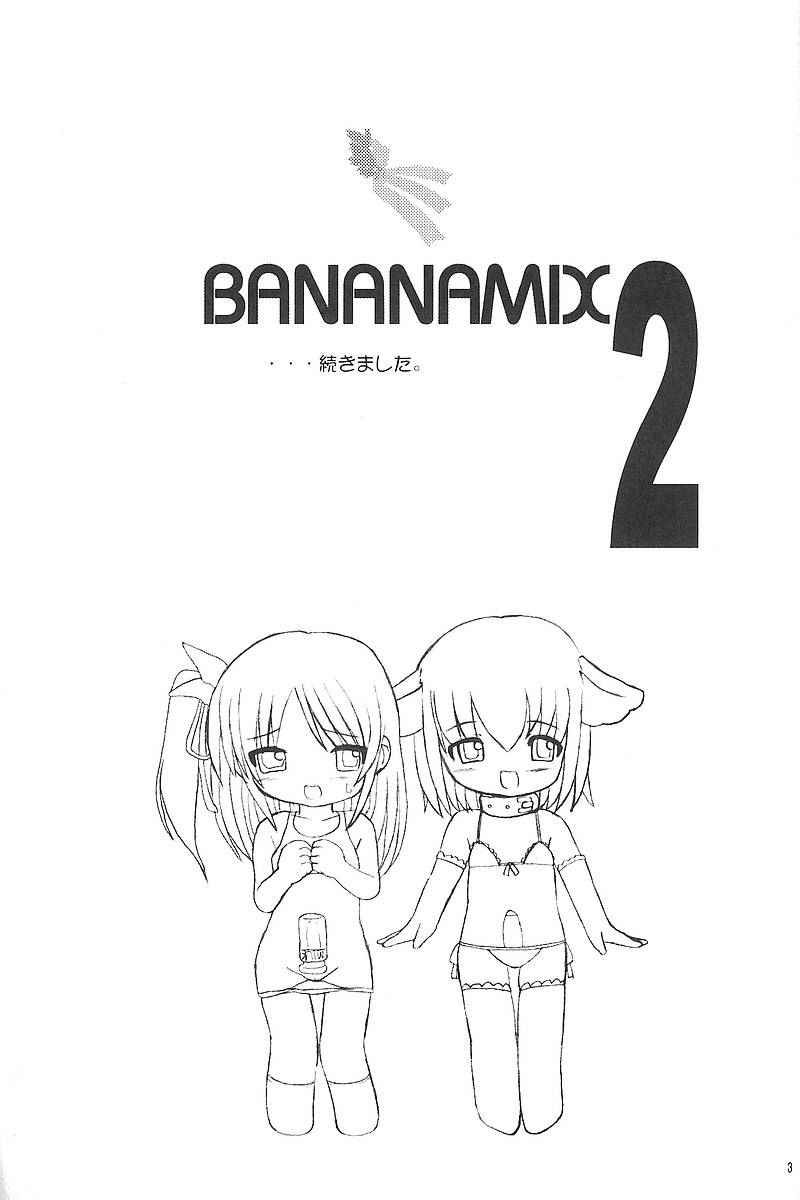 [Volt Company] Bananamix 2 