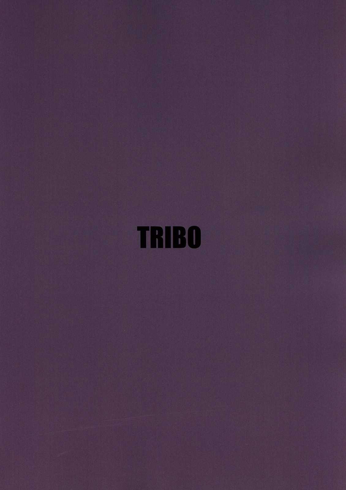[TRIBO] MMNGR 