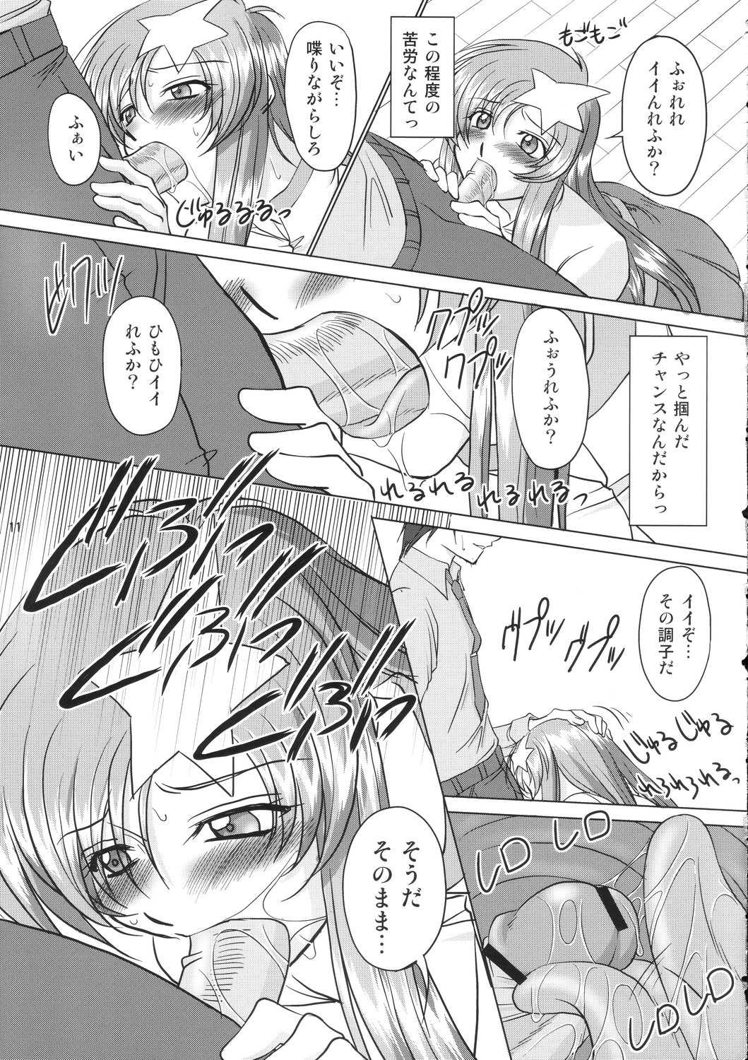 [Chaotic Arts] Tane de Mitashite... (Gundam Seed Destiny) 