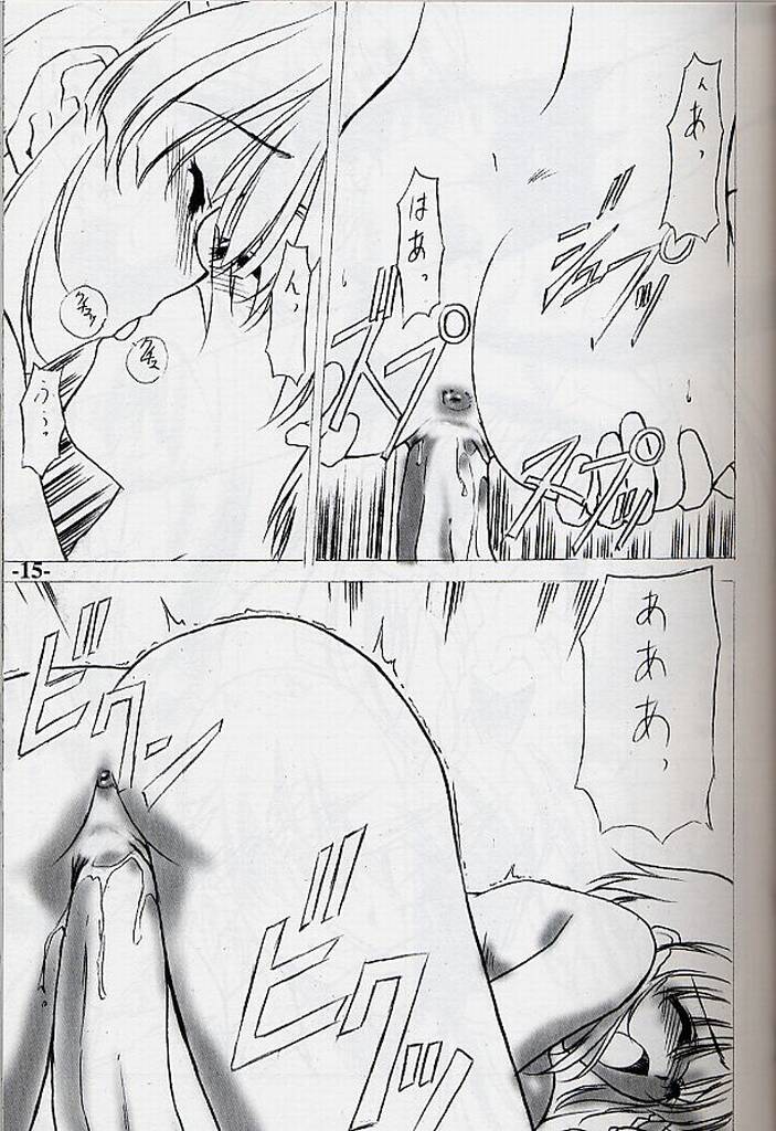 EXtra Stage vol10 (Series: Super Robot Taisen &amp; Negima/Circle: EXtage) 