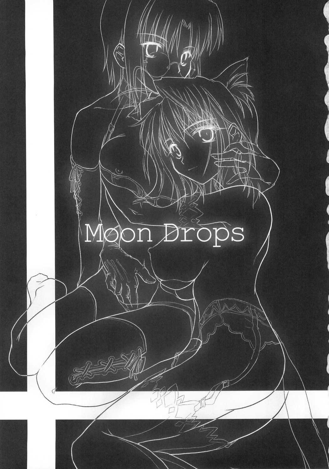 Shimoyake dou - Moon Drops{Tsukihime} 