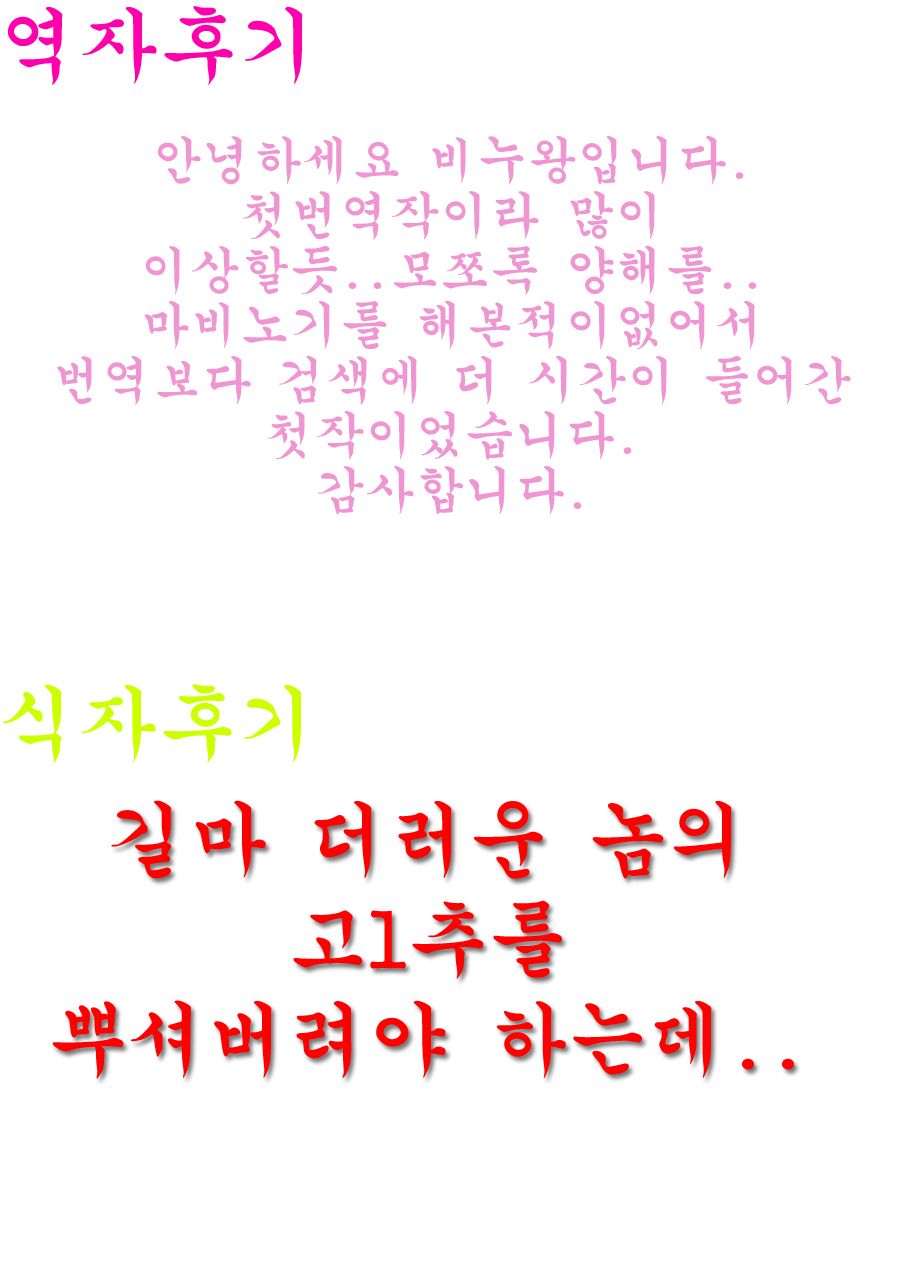 (C78) [Forbidden-Lips (Ryo)] Mabi Life 8 (Mabinogi) (korean) (C78) [Forbidden-Lips (りょう)] まびらいふ 8 (マビノギ) (韓国語)