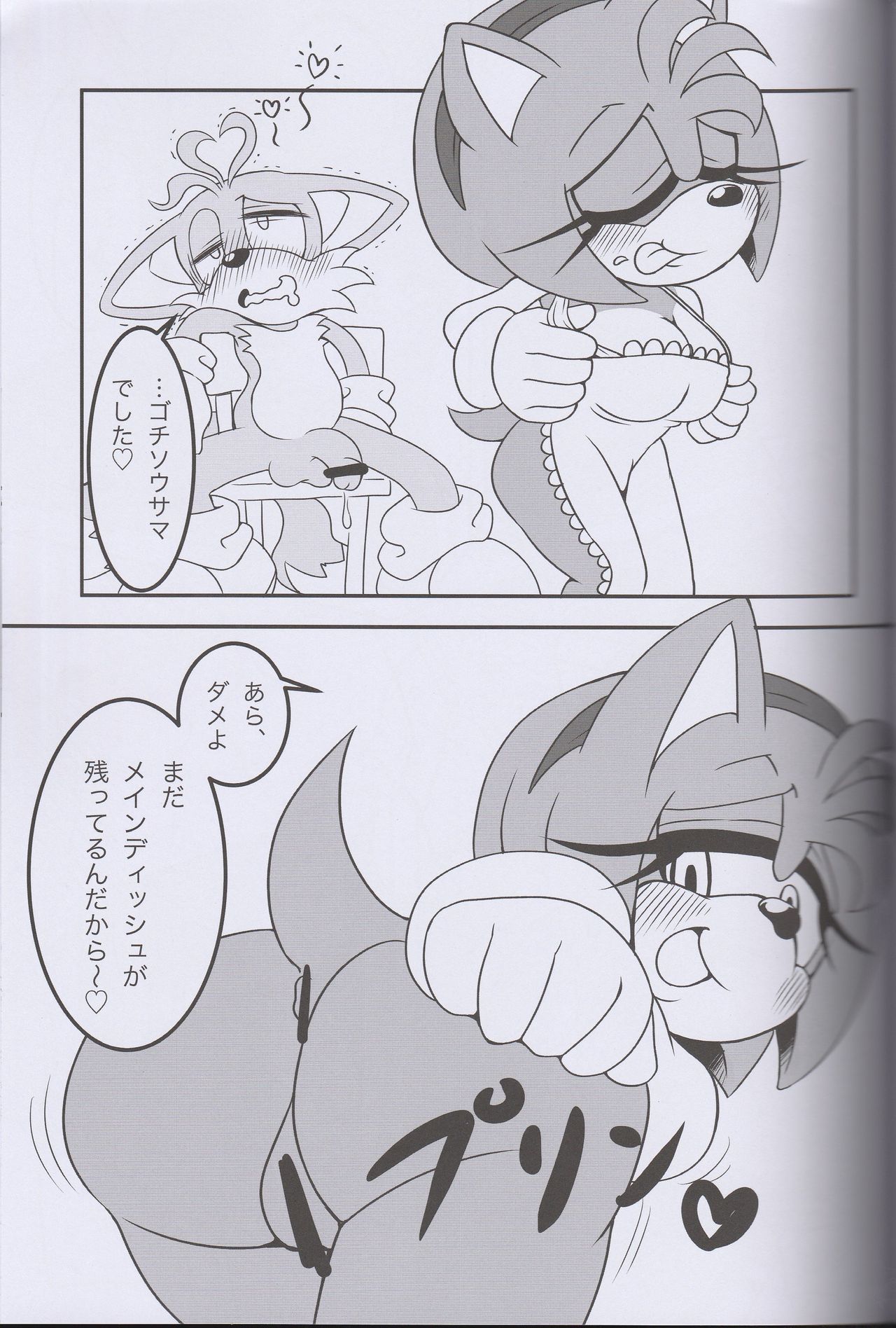 (Kansai! Kemoket 2) [Furry Fandom (Michiyoshi)] Kemono no Kanzume 3 (Sonic The Hedgehog) (関西!けもケット2) [ふぁ～りぃ☆ふぁんだむ (ミチヨシ)] ケモノの缶詰3 (ソニック・ザ・ヘッジホッグ)